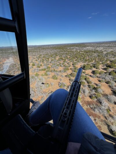 Asja Heli