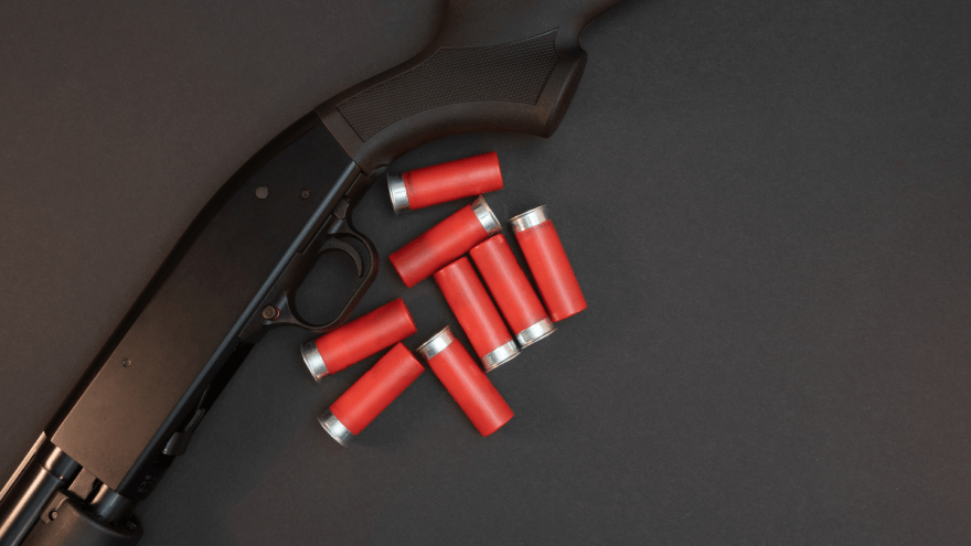 Close Encounters Shotgun for Home Defense