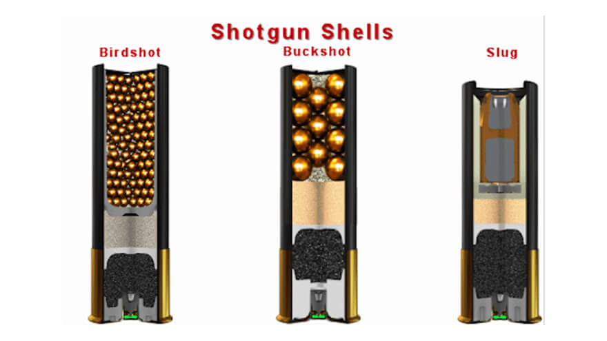 How to Choose a Shotgun for Home Defense