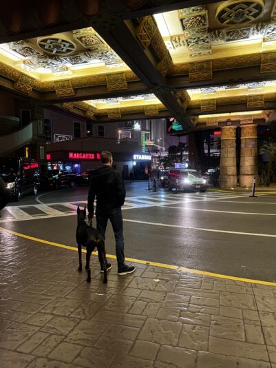 Dobe in Vegas
