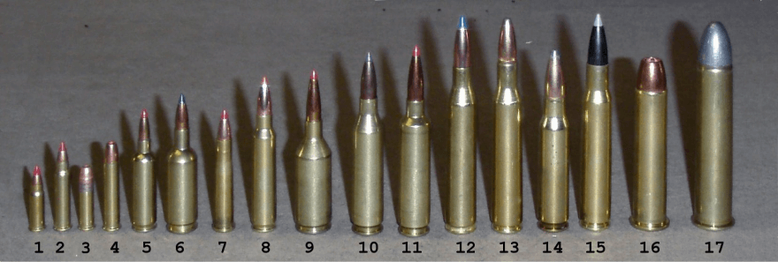 What Is a .22 Long Rifle?