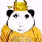 Profile photo of wenda