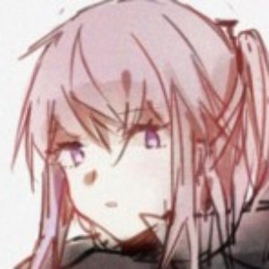 Profile photo of ST AR-15 Davey