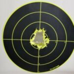 Group logo of Fundamentals of Marksmanship