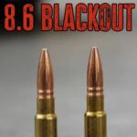 Group logo of 8.6 Blackout, Big, Bold and Beautiful!